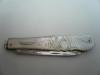 Sterling_Silver_&_Mother_of_Pearl_Fruit_Knife_Hallmarked_1865_Fruit_Decoration_Alfred_Taylor_REF:30E_image5
