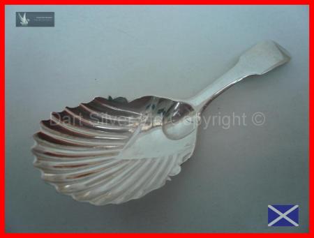 Scottish Provincial Silver Tea Caddy Spoon c.1820 James Robertson Perth REF:136J