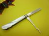 Silver_&_Mother_of_Pearl_Folding_Fruit_Knife_&_Toothpick_Hallmarked_1901_C_W_Flethcher_REF:202Y_image4